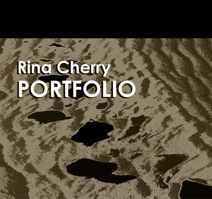 Main project image